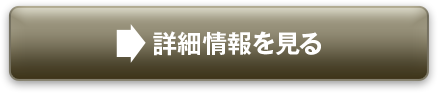 詳細情報を見る